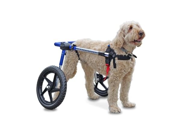 Walkin' Wheels Dog Wheelchair - for Med/Large