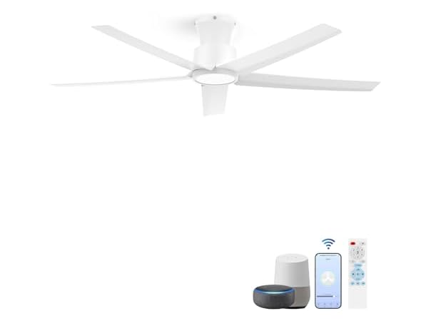 Smart Ceiling Fans