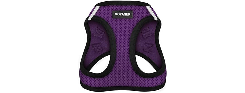 Best Pet Supplies - All Weather Mesh/Plush, Reflective Med