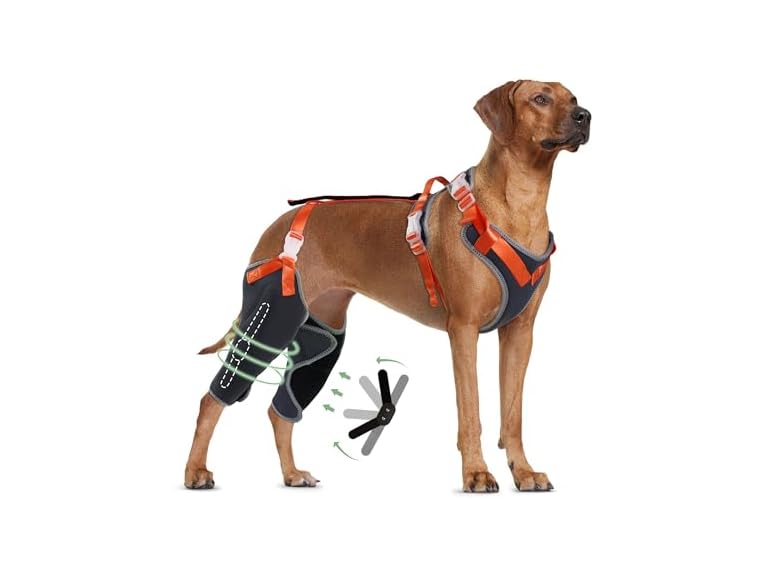 LISPOO Dog Knee Brace for ACL/CCL Injuries,To