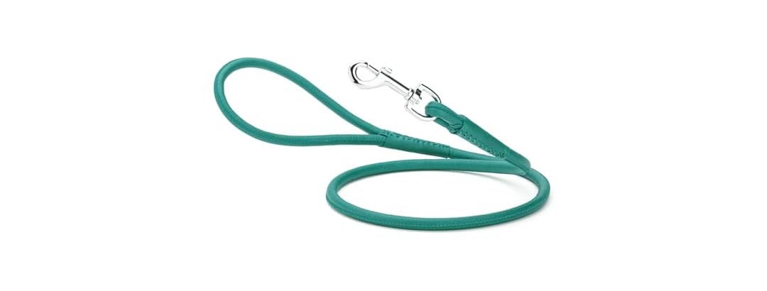 Dogline Rolled Leather Dog Leash - for Small