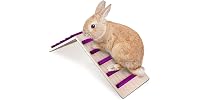 KREVEROY Wood Bridge for Small Animal Cage