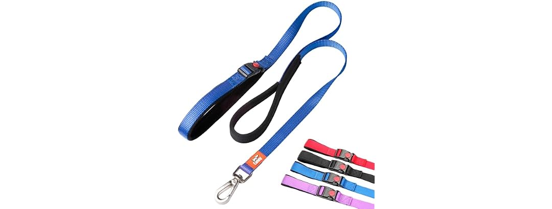 Canny Connect Leash - Anti Pull Dog Leash, Blue