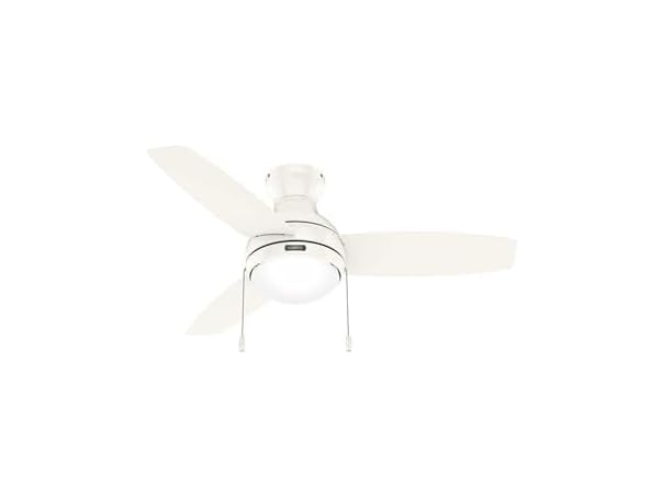 Hunter Fan 44" Fresh White Indoor Fan