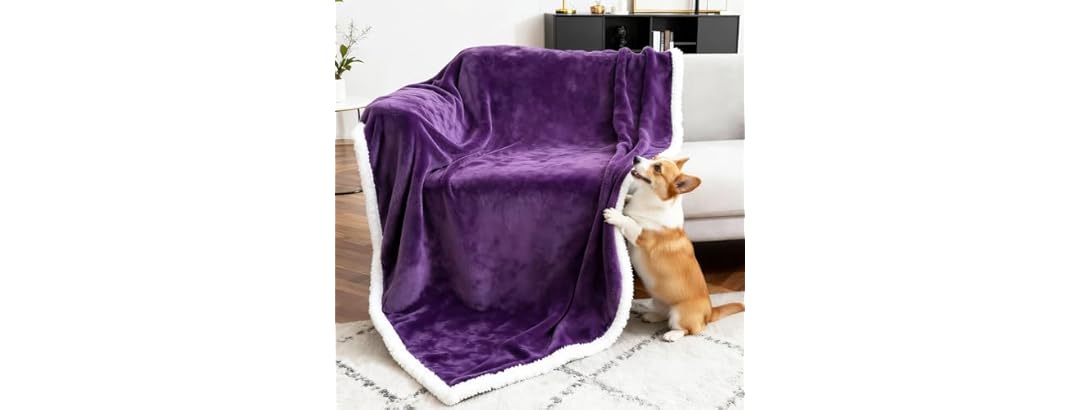 BoxZone Waterproof Dog Blanket- Purple White Large
