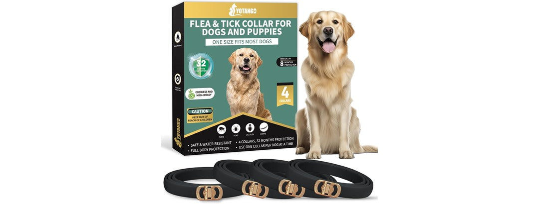 Flea & Tick Collar for Dogs 4-Pack