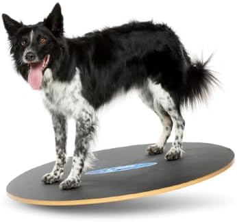 FitPAWS Wobble Board - Dog Balance Training E