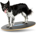 FitPAWS Wobble Board - Dog Balance Training E