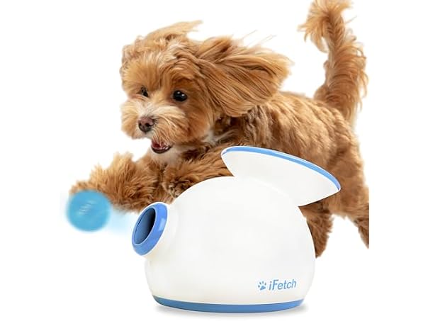iFetch Automatic Ball Launcher for Small Dogs