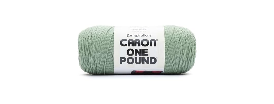 Spinrite Caron One Pound Yarn-Succulent