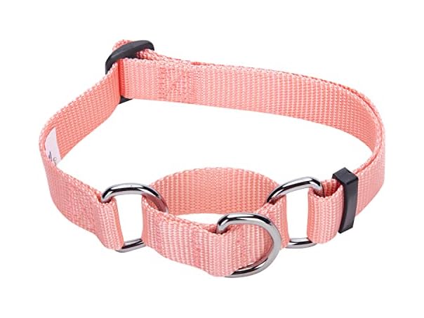 Blueberry Pet Essentials Martingale Safety Collar